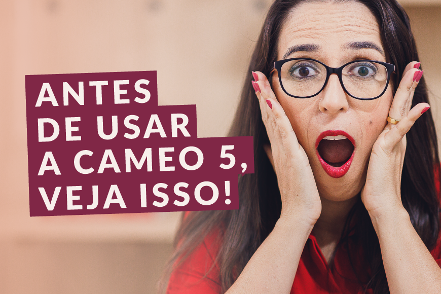 Silhouette Cameo 5: 5 dicas ESSENCIAIS pra iniciantes! » Blog » Thiara Ney